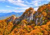 #경기도 – Chinh phục đường mây 운악산 구름길, ngắm lá đỏ trên cây cầu treo giữa núi đá cao 800m 855590367 1434839542052736 5594750227466908398 n