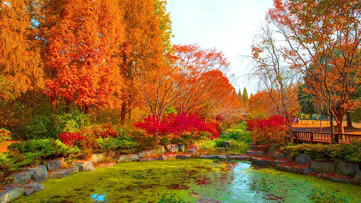 856547715 1442198471316843 959625558075532550 n