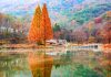 #충청남도 #불장골저수지 – Hồ nước soi bóng lá thu, cạnh bên là quán cà phê xinh xắn – điểm dạo thu miễn phí ở Gongju! 866025351 1442204684649555 6024684615706062693 n